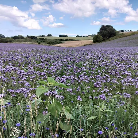 Cosy House On Mols With Terrace And Views Of The Landscape And Water Semesterbostad Knebel